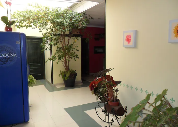 维玛尔酒店 酒店 *